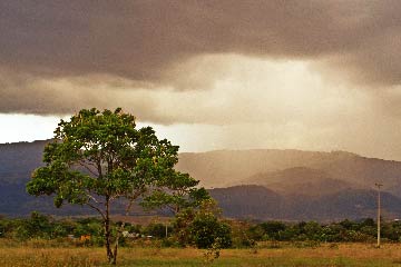 Casanare